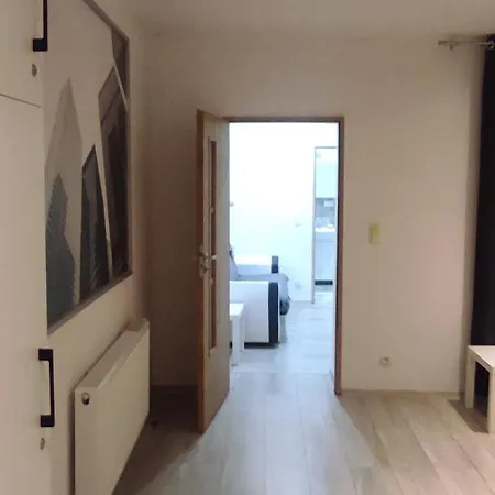 City Center Apartment 45M, 1 Bedroom And 1 Living Room With Kitchen Plus Bathroom, A Perfect Family Friendly Place Or For Home Office And A Longer Stay, A Proper Office Desk With Business Chair Provided, 100M From Market Square And Vistula River Grudziądz Exterior foto